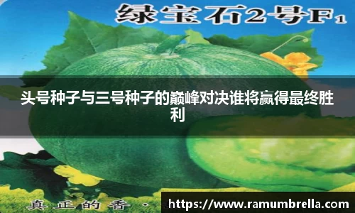 头号种子与三号种子的巅峰对决谁将赢得最终胜利
